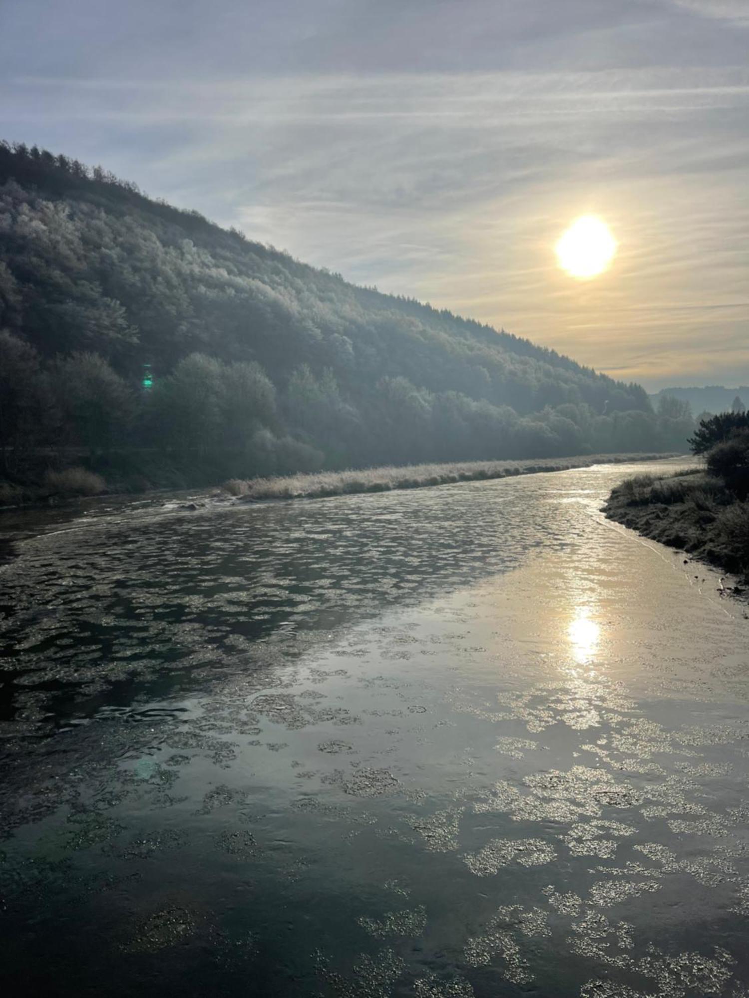 La Petite Passerelle à Mouzaive Vresse-sur-Semois Esterno foto